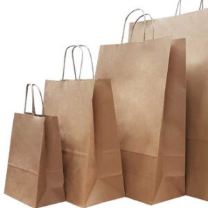 Paper Carry Bags