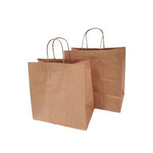 Kraft Paper Carry Bags Twist Handle Small - VS Packaging