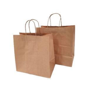 Kraft Paper Carry Bags Twist Handle Small