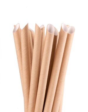 Paper Straws